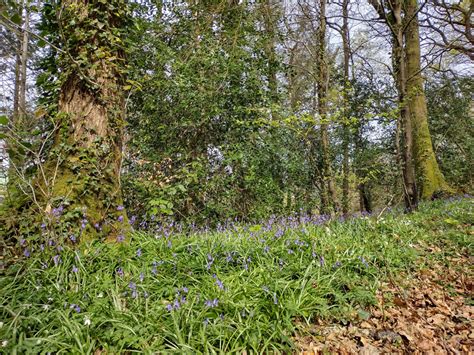 Earth Day Stoke Woods Exeter Cathedral