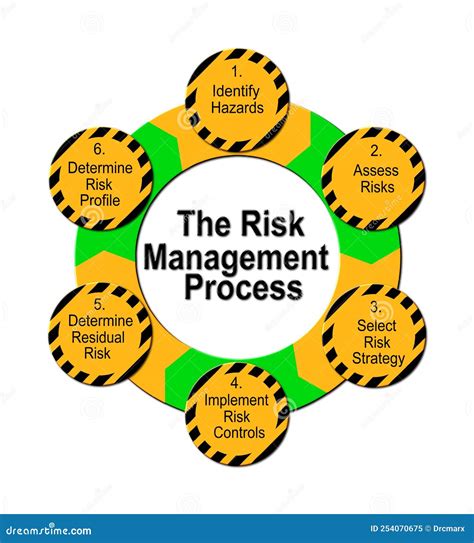 The Risk Management Process Graphic Stock Illustration Illustration