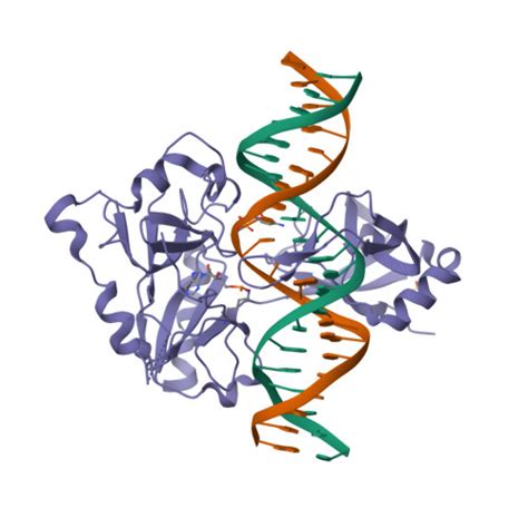 RCSB PDB 7OBN Structural Investigations Of A New L3 DNA Ligase