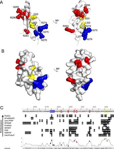 The Adaptor Protein Ste50 Directly Modulates Yeast MAPK Signaling