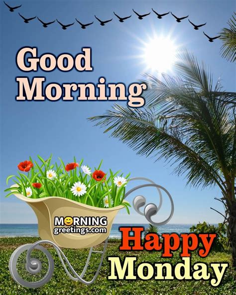 50 Good Morning Happy Monday Images Morning Greetings Morning