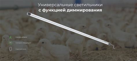 Универсальные светильники с функцией диммирования