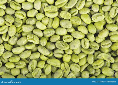 Green Coffee Beans Background Medium Green Peaberry Coffee Beans