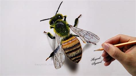 Realistic Honey Bee Drawing | Acrylic Colors | Timelapse | Bee drawing ...