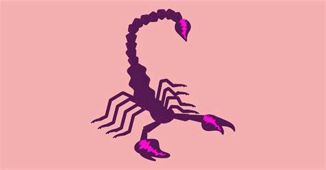 Scorpio Sign Symbols Zodiac Animals Guide