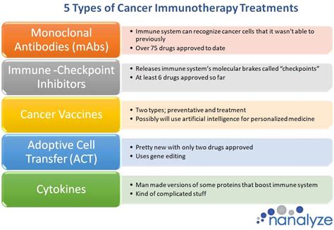 An Introduction to Cancer Immunotherapy Treatments - Nanalyze