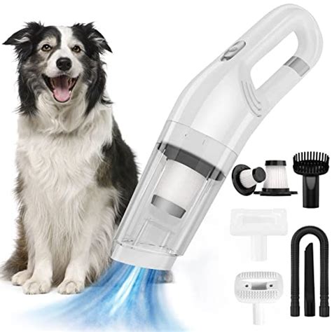 Best Pet Hair Vacuum Cleaner Australia at Wilma Barrett blog