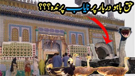 Darbar Hazrat Sultan Bahu R A Hazrat Sultan Bahu Mazar Sultan Bahu