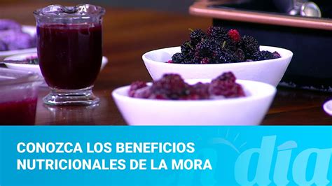 Conozca Los Beneficios Nutricionales De La Mora YouTube