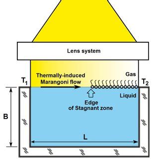 A Schematic Diagram Of The Experimental Setup Where A Thermocapillary