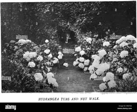 Colour In The Flower Garden120 Stock Photo Alamy
