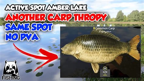 Thropy For Today Active Spot On Amber Lake Without Pva Russian