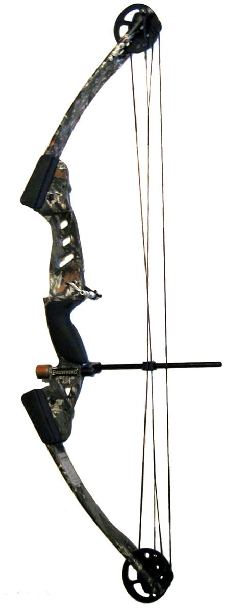 Compound Bow vs Longbow