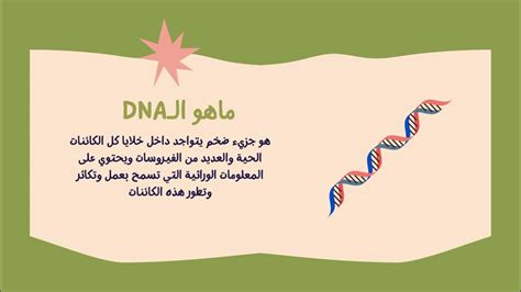 استخلاص الحمض النووي Dna من الفراولة Youtube