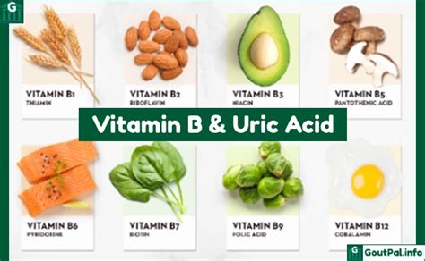 Vitamin B And Uric Acid Research Goutpal S Gout Library