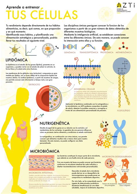 C Mo Conseguir Una Microbiota Sana Azti