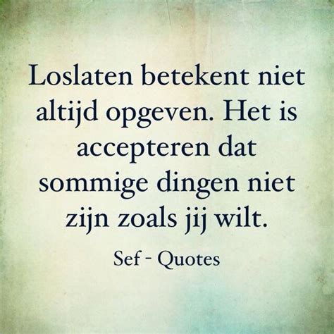 Leren Accepteren Sef Quotes Words Quotes Sayings Quotes To Live By