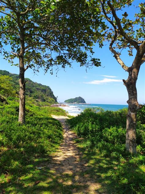 Trilha Da Praia Grossa