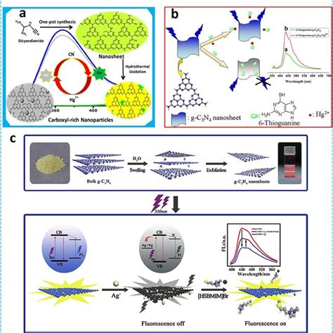 A Schematic Representation Of Synthesis And Metal Sensing Mechanism Of