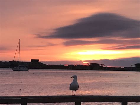 Photo Contest Getoutdoors Kiptopeke State Park Sa Getoutd Flickr