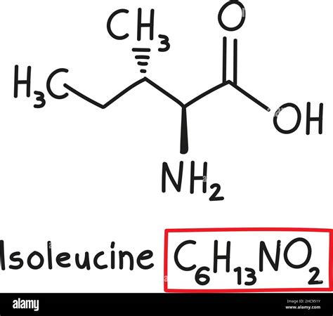 Isoleucine Lewis Structure