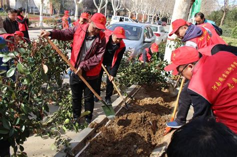 我校组织志愿者开展学雷锋义务植树活动 河南职业技术学院