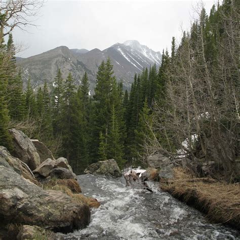 Dream Lake Rocky Mountain Lake Algae