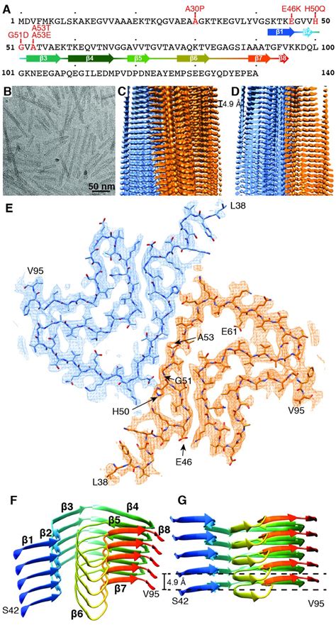 Figures And Data In Cryo EM Structure Of Alpha Synuclein Fibrils ELife