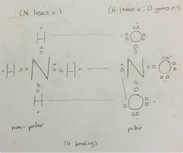 Lewis Structure - Ammonium nitrate