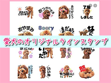 愛犬の写真を使用した可愛いオリジナルラインスタンプを注文してみたよ♪自由コメント入り！ 関西＠わんこー関西で犬と一緒にお出かけできる場所を紹介！