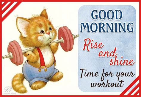 An Image Of A Cat With A Barbell In Its Mouth And Good Morning Message