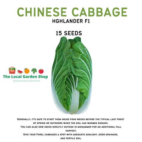 Chinese Pechay 15seeds Lazada Ph
