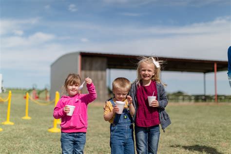 christmas tree farm elgin 1