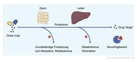 PharmaWiki - First-Pass-Metabolismus