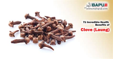 71 Incredible Health Benefits Of Clove Laung MyBapuji