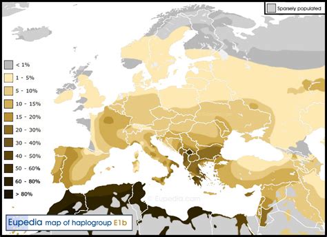 New distribution map of Y-DNA haplogroup E-V13