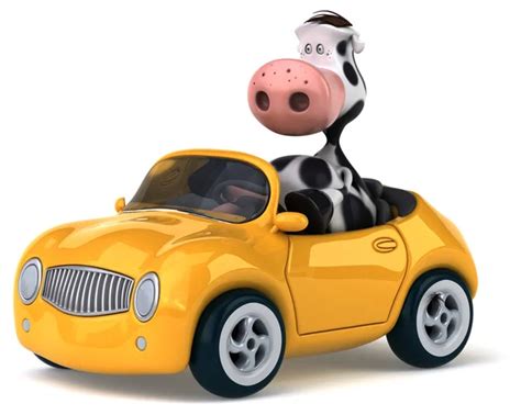 Cow Driving Stock Photos Royalty Free Cow Driving Images Depositphotos®