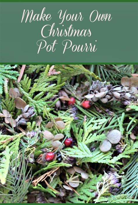 Make Your Own Christmas Potpourri From Your Garden Christmas Pots