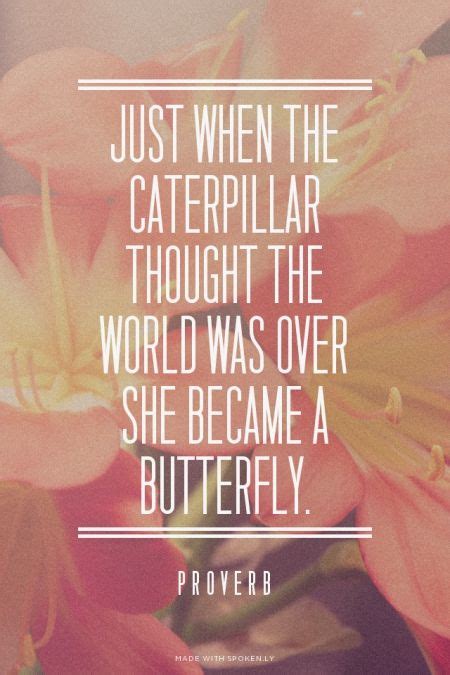 Just When The Caterpillar Thought The World Was Over She Became A Butterfly Proverb Keep It