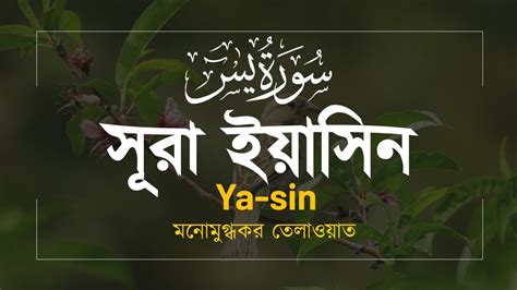 Surah Ya Sin Enchanting Recitation Shoaib