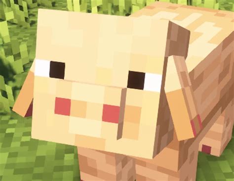 Variation Pigs Minecraft Texture Pack