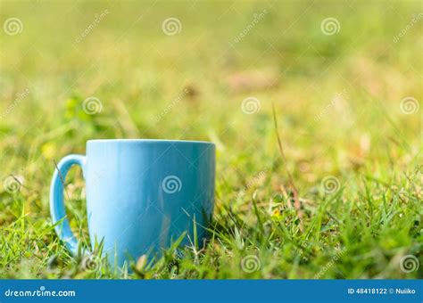 Green Space With Blue Coffee Mug Outdoor Stock Photo Image Of