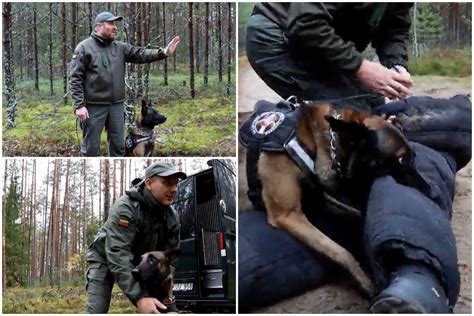 Poky Iai Pailgino Tarnybini Un Darbo Laik Papasakojo Kas Ir Kaip