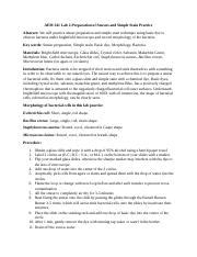 AEM 341 Lab 2 Simple Stain 09022020 2 Docx AEM 341 Lab 2 Preparation