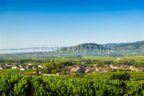 Photos Le Mont Brouilly Et Les Villages De Cerci Et Morgon