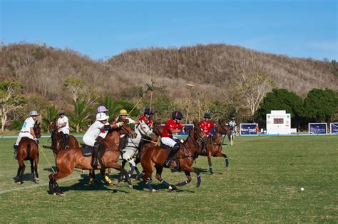 Polo En El Para So