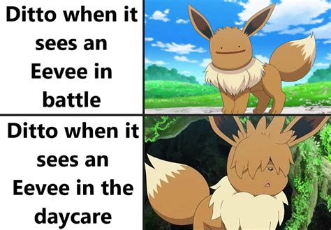 Hentai Protag Ditto R Hentaimemes
