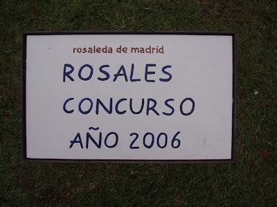 X Concurso Popular Rosa De Madrid En La Rosaleda Del Parque Del Oeste