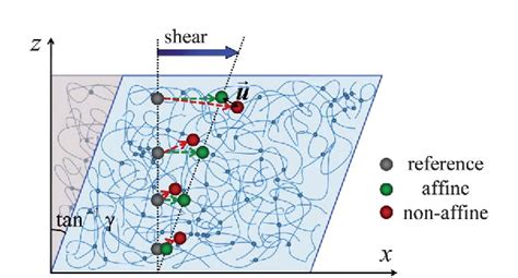 Figure 1 From Non Affine Deformations In Polymer Hydrogels Semantic