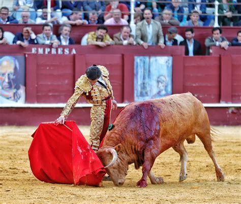 Juan Ortega Torero Muchos Son Los Llamados Y Pocos Los Escogidos